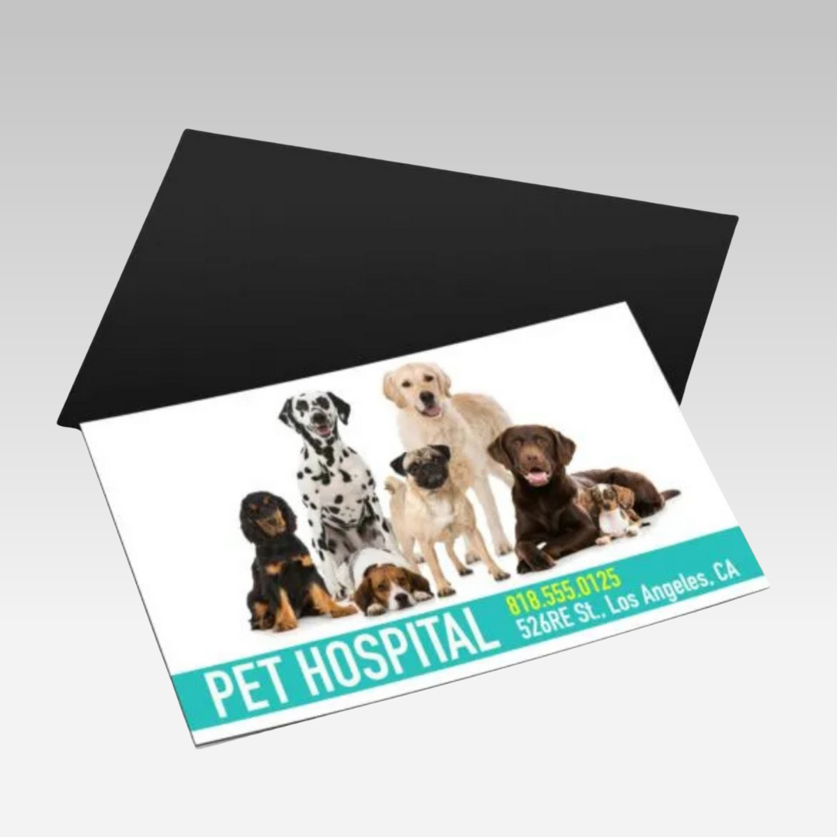 Magnet Business Cards Magnet Business Cards